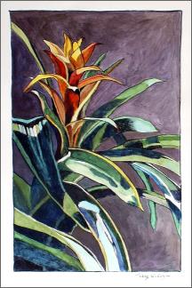 yellow bromiliad • hand colored